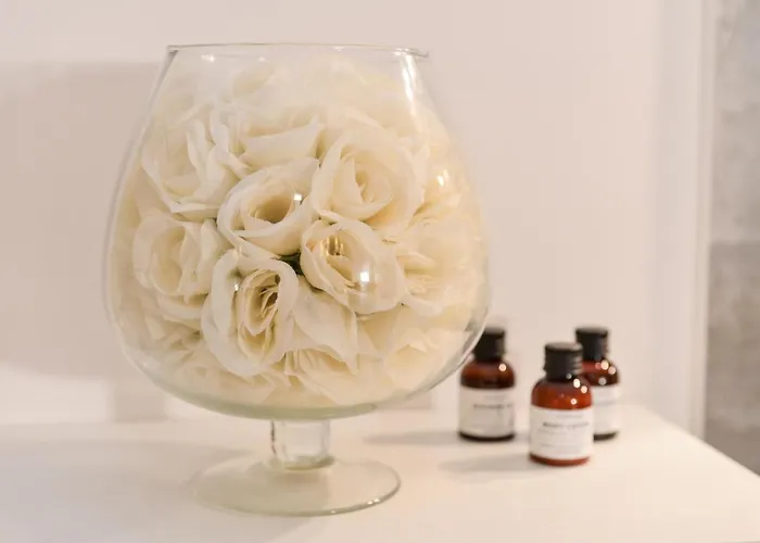 Navona 게스트하우스 4*